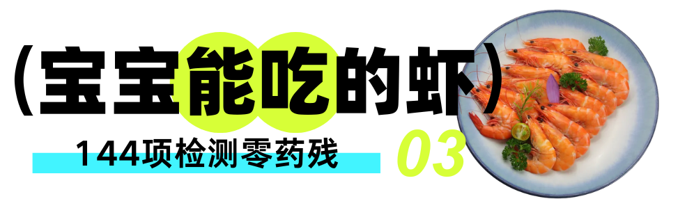 必打卡！“瑟兰王”虾登陆上海渔博会，源自印尼原始生态海岛的鲜甜暴击(图10)