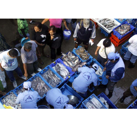 秘鲁鱿鱼价格突然掉头，阿根廷稳如磐石：中国买家“收手”了？