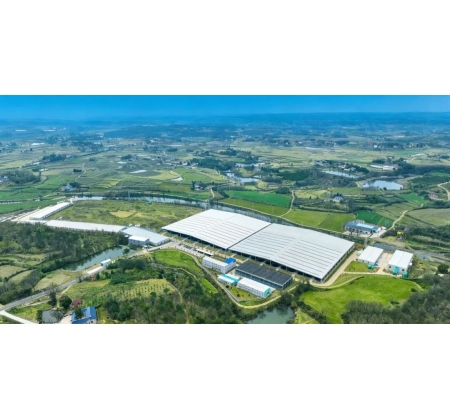 120万尾在养，总投超3.6亿，全国TOP5鲑鳟基地加速冲刺3000吨