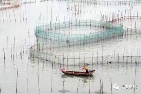 中国水产养殖业、渔业正在发生巨大转变！