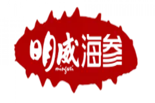 【高端滋补】烟台明威海参有限公司——北纬37°明威天然海洋牧场