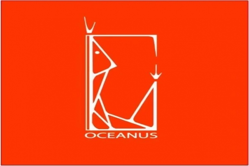 【优质展商】青岛盛海明嘉贸易有限公司——100%纯天然甜虾