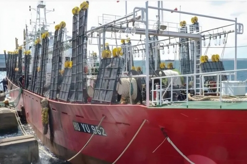 首批鱿钓船满载而归巴塔哥尼亚！2026全球鱿鱼卸货季火热开场