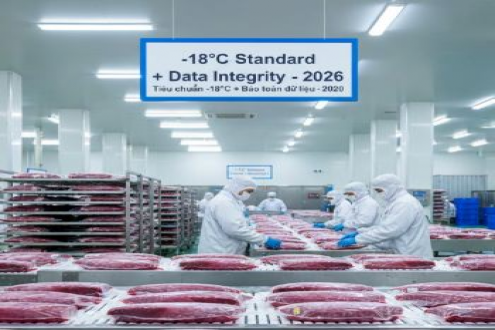 金枪鱼“温热”冷冻方式 被欧盟定义为贸易欺诈