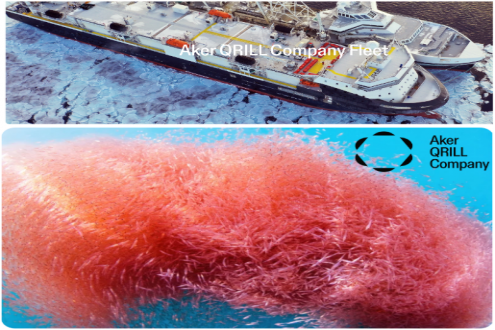 南极联盟反对对磷虾渔业的MSC再认证