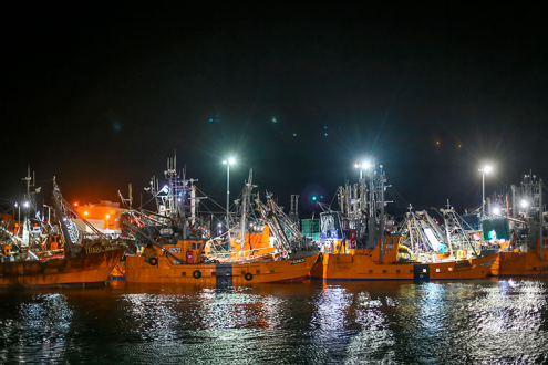 丘布特以90,000吨捕捞量 结束罗森港2025–2026年虾捕捞季