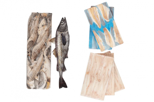 欧洲"爆单"！中国鳕鱼现货价飙升，每吨高出合同价300美元