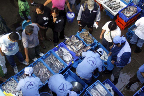 秘鲁鱿鱼价格突然掉头，阿根廷稳如磐石：中国买家“收手”了？