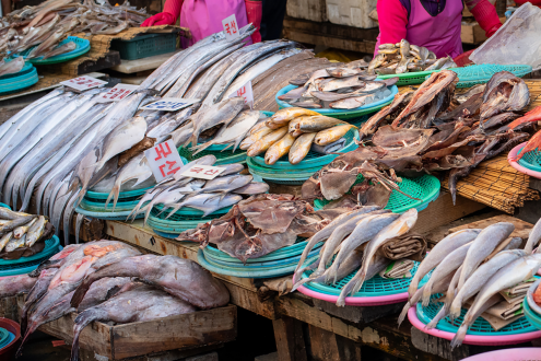联合国粮农组织报告：全球20%海鲜贸易涉欺诈，餐饮行业尤甚