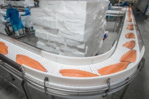 智利三文鱼上半年出口上涨 15.5%，中国市场进口实现翻倍