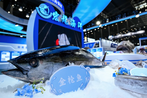 必打卡！“瑟兰王”虾登陆上海渔博会，源自印尼原始生态海岛的鲜甜暴击