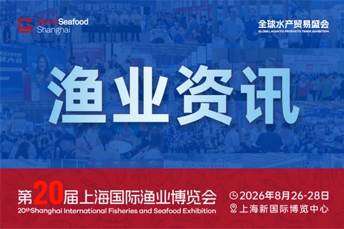 直击海洋牧场转场 | 我国迎来三文鱼陆海接力养殖时代