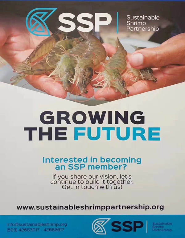 厄虾鲜动中国，即将亮相2019上海渔博会！(图5)