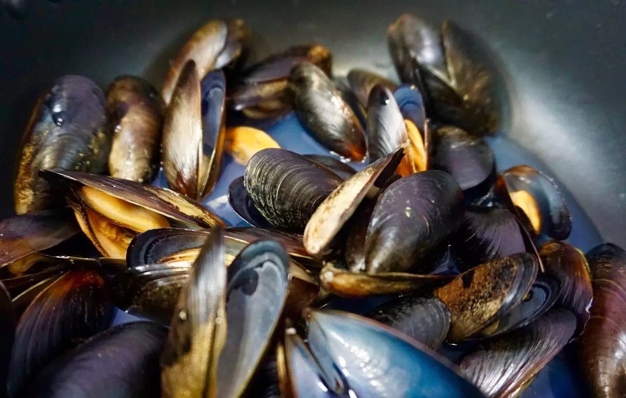 "智味臻藏,天涯美味" ——舌尖上的智利 再次回归2019上海渔博会!(图5) "智味臻藏,天涯美味" ——舌尖上的智利 再次回归2019上海渔博会!(图5)