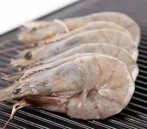 四载相伴，上海渔博会与厄瓜多尔再盼砥砺前行(图4)