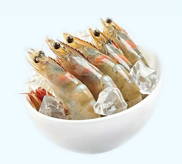 四载相伴，上海渔博会与厄瓜多尔再盼砥砺前行(图5)