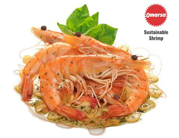 四载相伴，上海渔博会与厄瓜多尔再盼砥砺前行(图12)