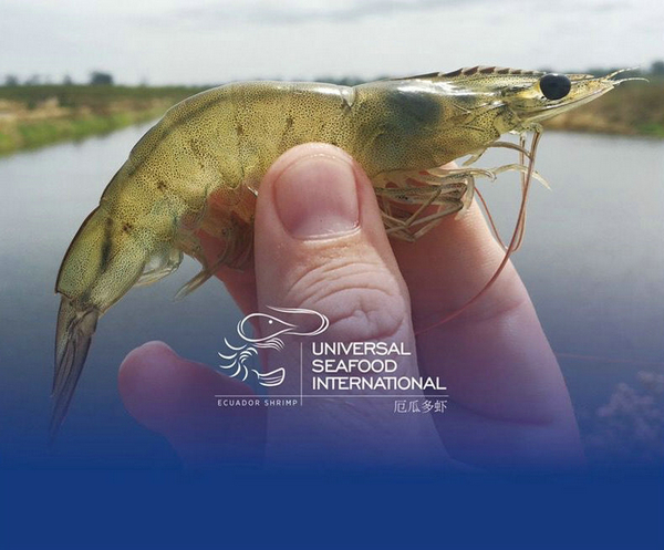 四载相伴，上海渔博会与厄瓜多尔再盼砥砺前行(图11)