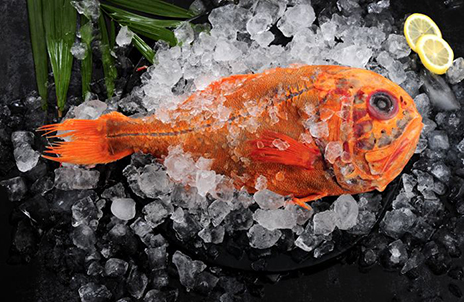 聚焦上海︱ 2017上海渔博会，带您领略一场专业水产海鲜盛宴(图4)