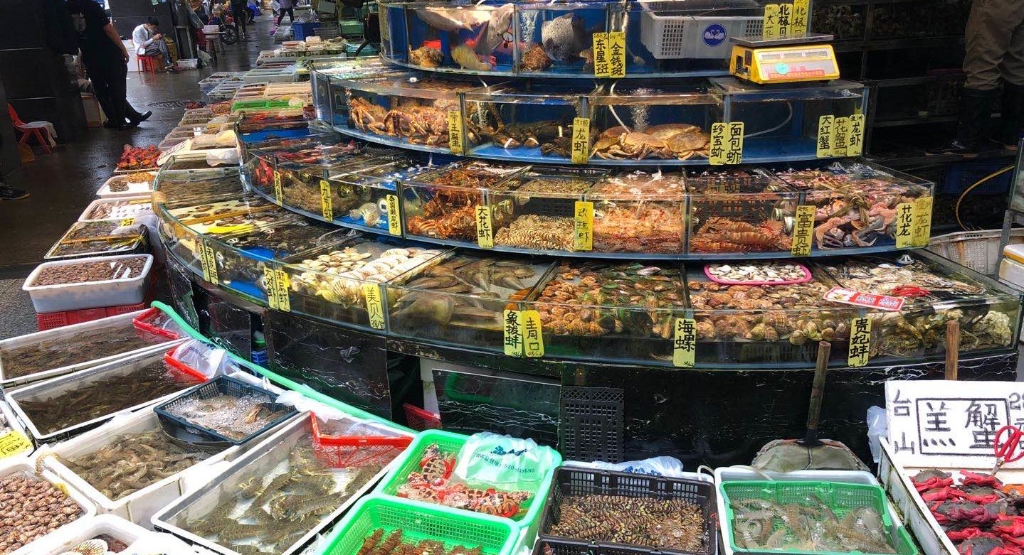 Chinas largest seafood market back in business(图3)