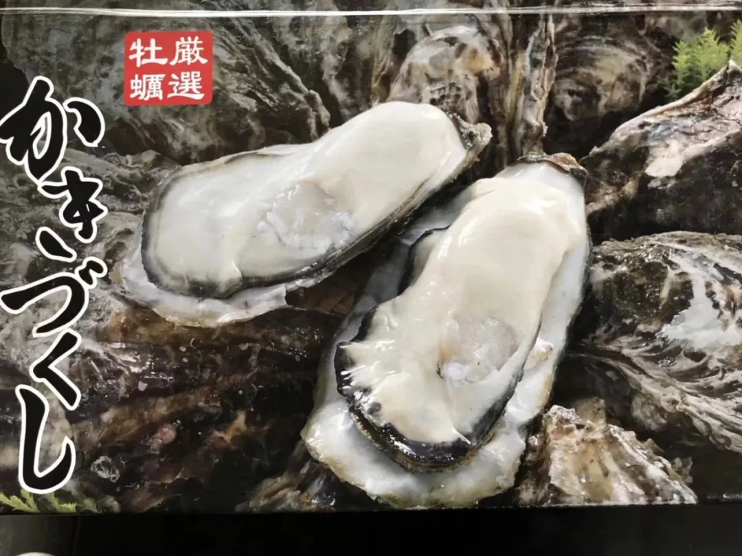 广州腾灏进出口贸易有限公司诚邀您莅临第15届上海国际渔业博览会(图4)