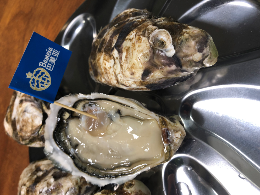 福建优益佳水产有限公司——优益佳水产 用心做好蚝(图7)