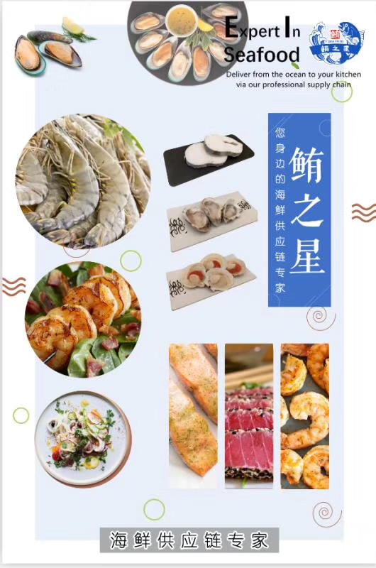 上海鲔之星食品有限公司——海鲜供应链专家(图5)