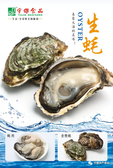 饶平县宇傑水产食品有限公司——生活 · 享受鲜美的味道(图9)
