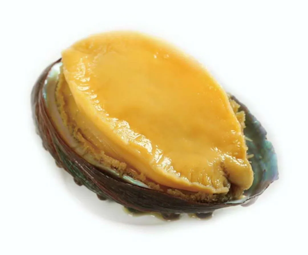 烟台天悦湾海洋生物科技有限公司邀您参加第15届上海国际渔业博览会！(图3)