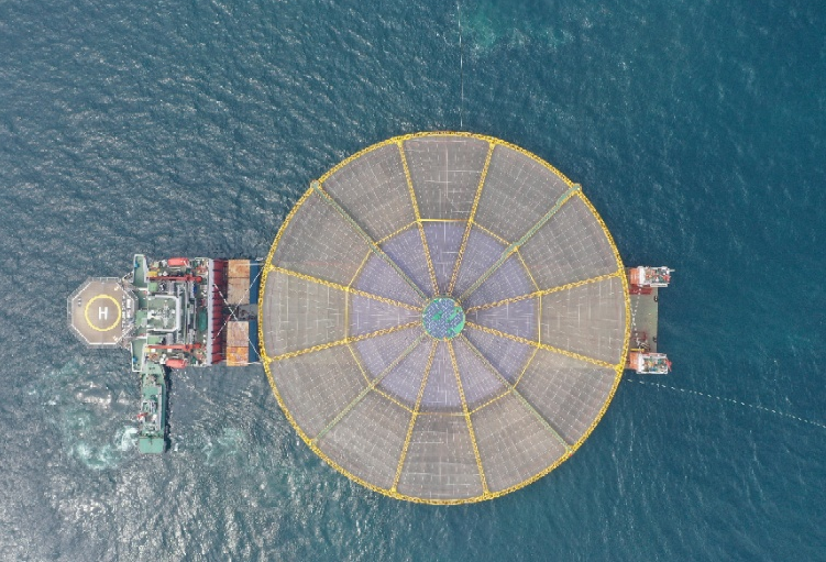 年产1500吨大黄鱼!全国首台、世界第一大深海养殖场“海峡Ⅰ号”投设成功！(图2)