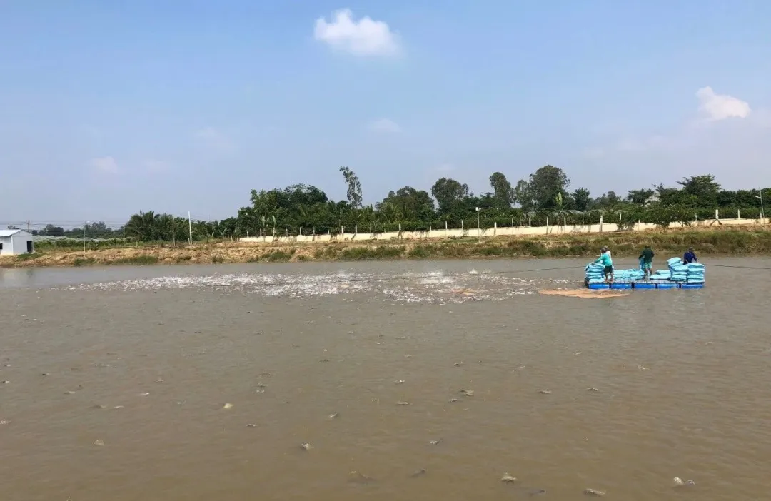 红玉水产贸易有限公司——Taste the Mekongs flavor-Quality makes our future(图3)