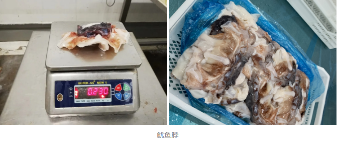 烟台有个海进出口有限公司——致力于为客户提供全球最优质海鲜食材(图7)