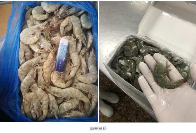 烟台有个海进出口有限公司——致力于为客户提供全球最优质海鲜食材(图10)