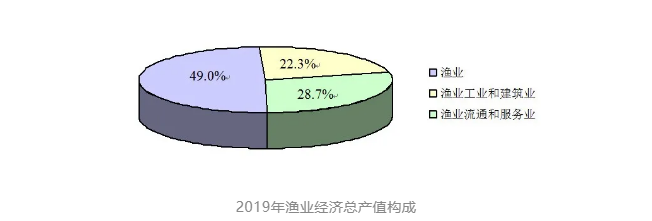 2019年全国渔业经济统计公报(图2)