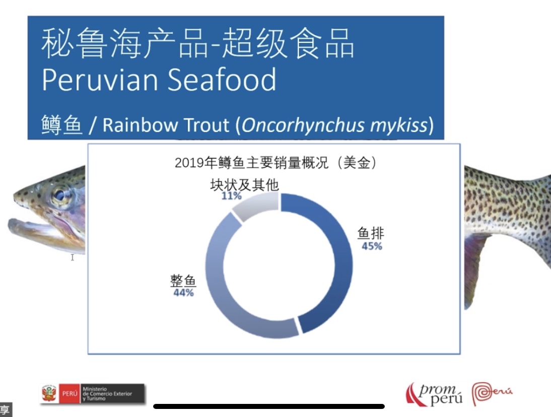 Recap for our first webinar：Seafood, Superfood Peru(图13)