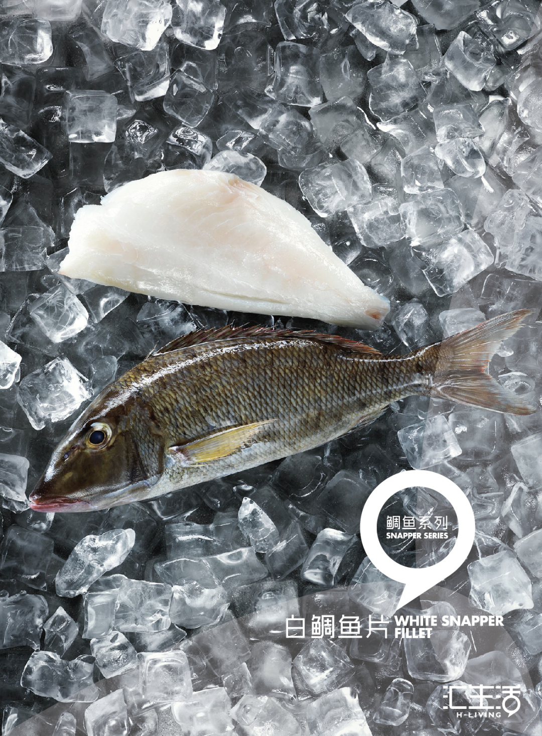 汇生活（上海）水产有限公司——Simply Taste the Fresh 简单的鲜味本质(图4)