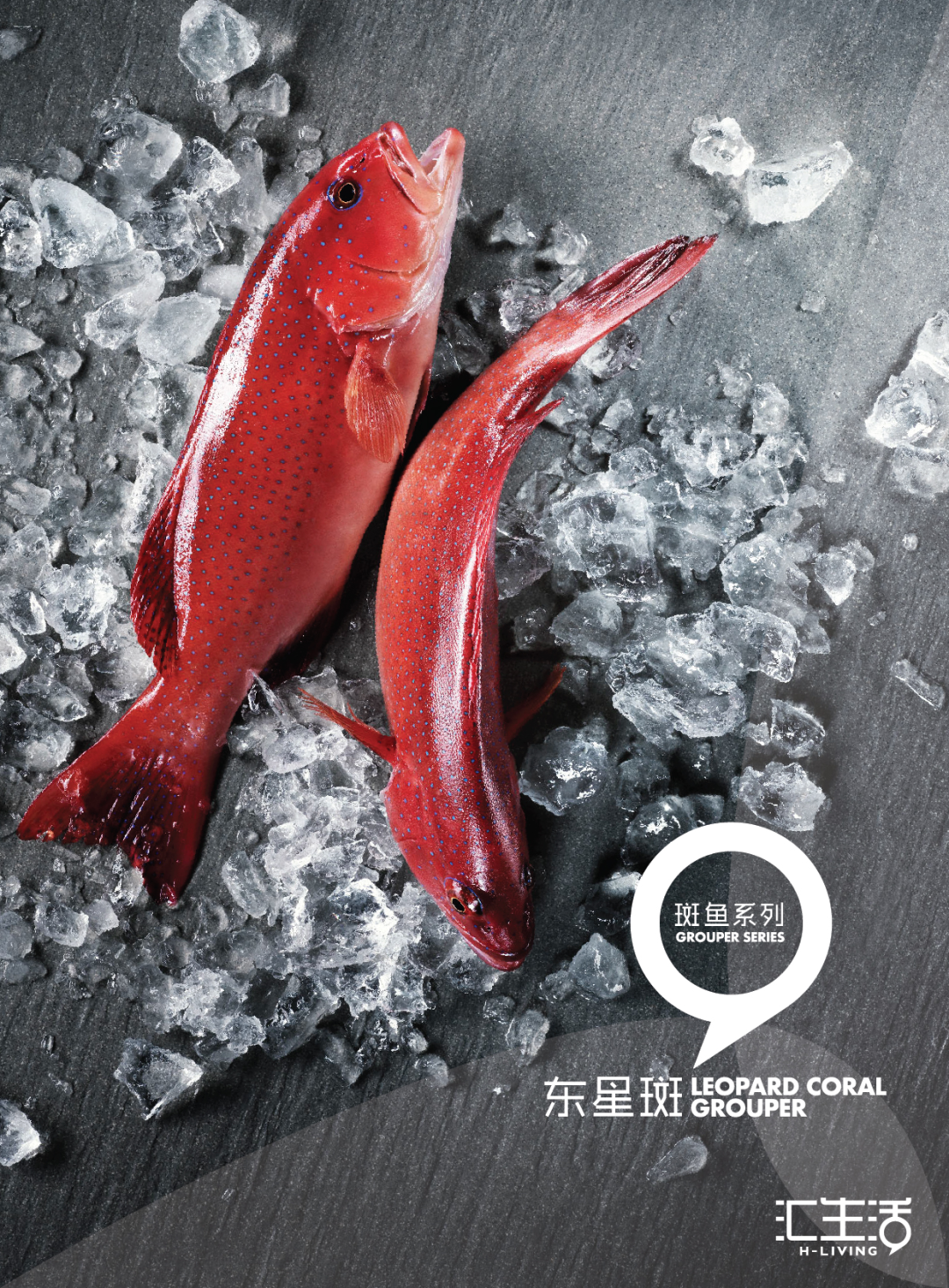 汇生活（上海）水产有限公司——Simply Taste the Fresh 简单的鲜味本质(图5)