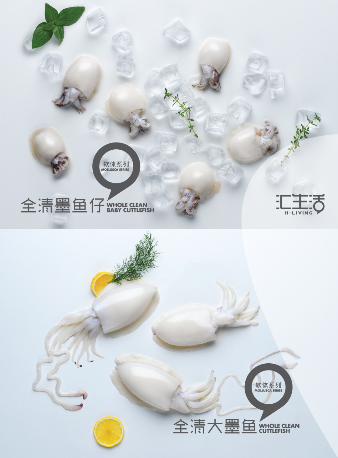 汇生活（上海）水产有限公司——Simply Taste the Fresh 简单的鲜味本质(图6)