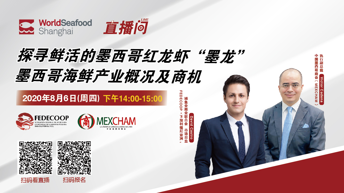 探寻鲜活的墨西哥红龙虾丨8月6日下午14:00直播，中国墨西哥商会分享墨西哥海鲜产业概况及商机！(图2)