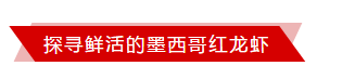 探寻鲜活的墨西哥红龙虾丨8月6日下午14:00直播，中国墨西哥商会分享墨西哥海鲜产业概况及商机！(图9)