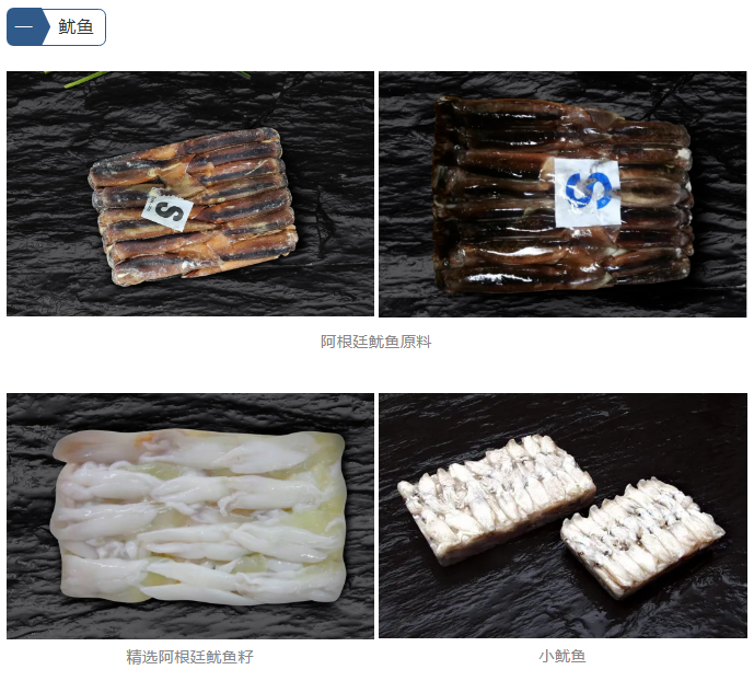 嘉兴市嘉优食品有限公司——天然嘉品，深海优厨(图3)