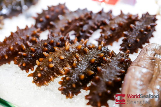 World Seafood Shanghai 2020 has come to a successful conclusion(图7)