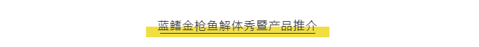 汇行业名企 创发展新机 | 2020第15届上海国际渔业博览会今日盛大开幕！(图26)