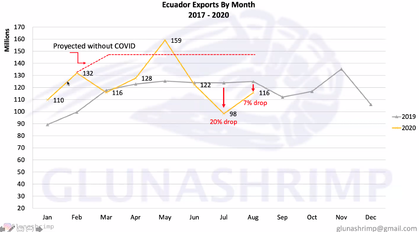 Exports of Ecuadorian shrimp reach an ideal market split in August(图5)