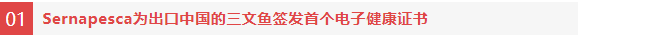 智利三文鱼平均规格上升,为拓展中国市场签发首个三文鱼电子健康证书(图2) 智利三文鱼平均规格上升,为拓展中国市场签发首个三文鱼电子健康证书(图2)