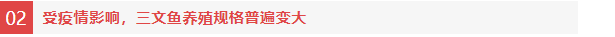 智利三文鱼平均规格上升,为拓展中国市场签发首个三文鱼电子健康证书(图6) 智利三文鱼平均规格上升,为拓展中国市场签发首个三文鱼电子健康证书(图6)