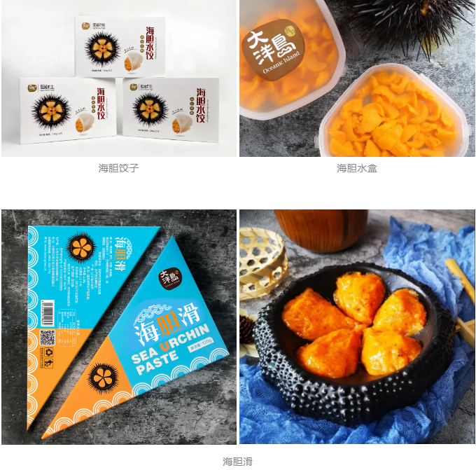 【高端滋补】大连大洋岛海珍品有限公司——用良心和责任为您提供安全优质海洋珍品(图7)
