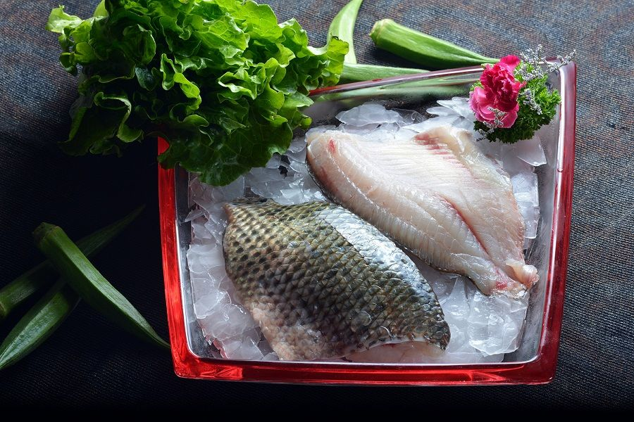 湛江龙威水产携湛江富昌水产 诚邀您莅临上海国际渔业博览会(图15)