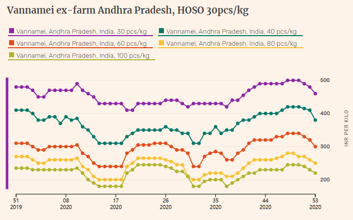 Indian vannamei shrimp prices in Andhra Pradesh dive further in week 53(图1)