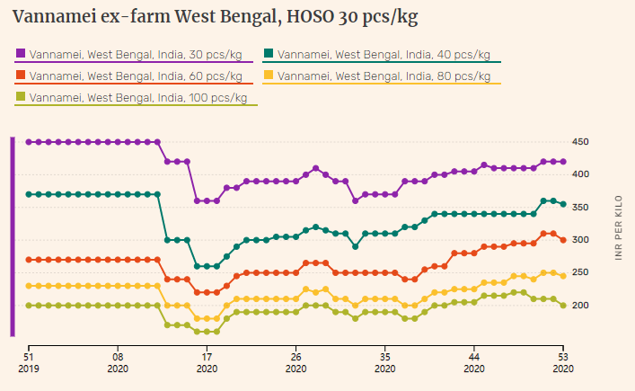 Indian vannamei shrimp prices in Andhra Pradesh dive further in week 53(图2)